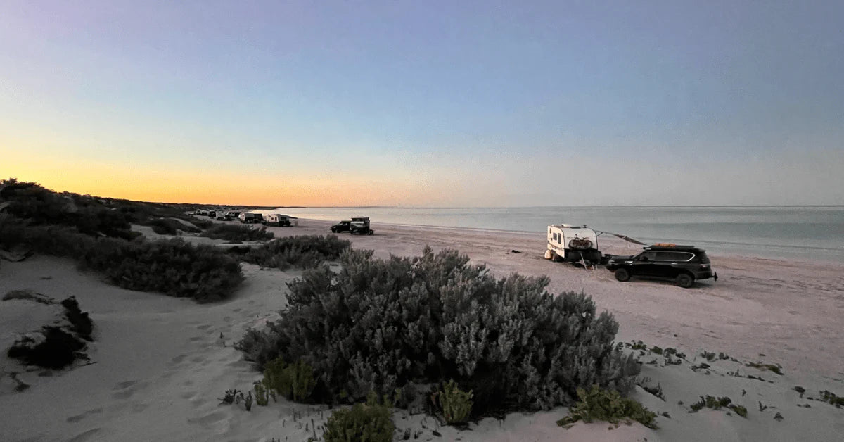 Water & Fuel Bladders