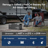 Renogy 12V 200Ah Pro Deep Cycle LiFePO₄ Lithium Battery – Bluetooth, Self-Heating & Extreme Safety